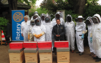 What Can One Club or District Do? Inspiring Pollinator Projects from Rotarians Worldwide